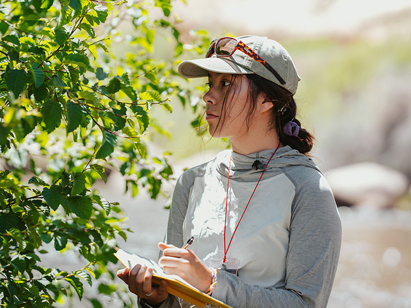 A FLC student doing ecology fieldwork